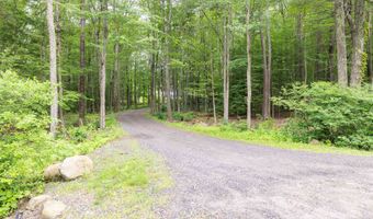 146 Old Sandown Rd, Chester, NH 03036