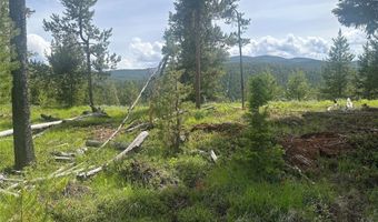 NHN Herring Flats Road, Anaconda, MT 59711