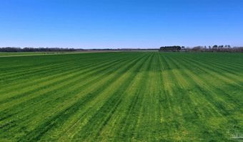 Davis Pond Rd lot 14, Atmore, AL 36502