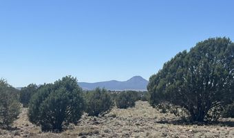 310 Un Named Rd, Ash Fork, AZ 86320
