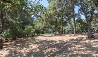 336 Catalpa Ln, Angels Camp, CA 95222