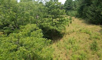 Hall Hollow Road, Austinville, VA 24312