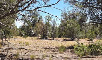 3200 W Poppy Rd, Ash Fork, AZ 86320