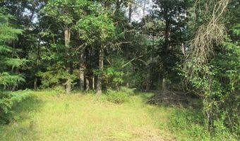 810 Sherman St, Adams, WI 53910