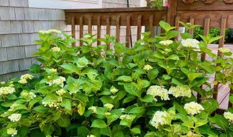 1 Sandy Ln, Bourne, MA 02532