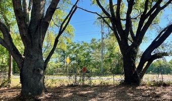 3109 US Hwy 129, Bell, FL 32619