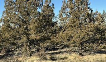 Canvasback Drive, Bonanza, OR 97623