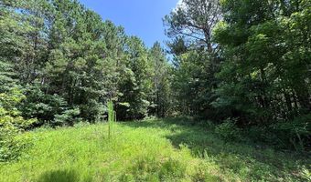 North Palestine Road, Baldwyn, MS 38824