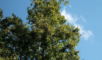 501 Caldwell Rd, Blacksburg, SC 29702