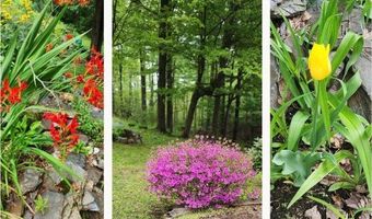 25-27 Gingko Ln, Brattleboro, VT 05301