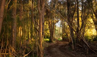 WAIOLU PL, Hawi, HI 96719