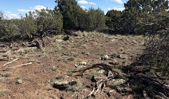 0201 County Rd, Concho, AZ 85924