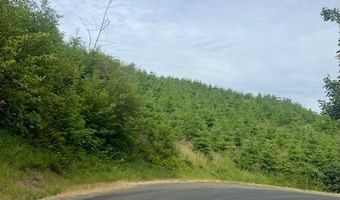 Northrup Creek Rd, Birkenfeld, OR 97016