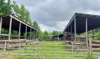 988 MINES Rd 100, Ashland, AL 36251