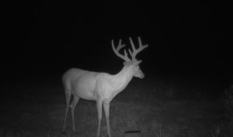 607 Hwy 69, Arma, KS 66712