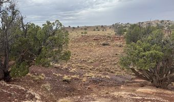 Tbd N 9326, Concho, AZ 85924