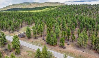 20861 Hwy 160, Bayfield, CO 81122