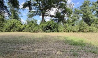 Green Town Road, Bay Minette, AL 36507