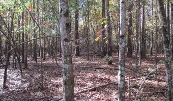 Hillside Drive, Americus, GA 31709
