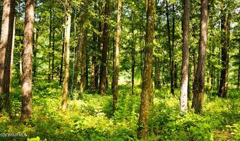 Cypress Pointe Drive lot 3, Brooksville, MS 39739