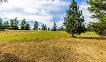 31574 N Sienna Loop, Athol, ID 83801