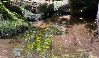 Tdb Cove Creek Rd, Bastian, VA 24314