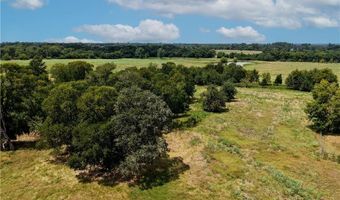 Tbd Tract 5 Fm-2819, Anderson, TX 77830