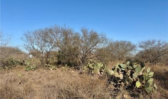 CR 119 lot 0, Alice, TX 78332
