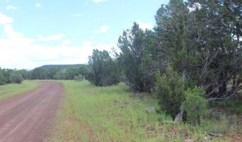 29 Co Rd 3199, Vernon, AZ 85940