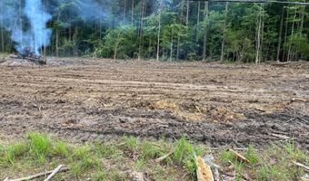 715 Old Pinola Braxton Rd, Braxton, MS 39044