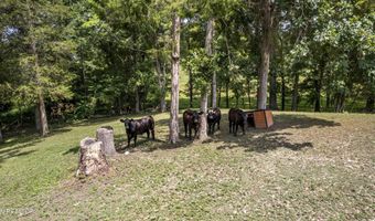 316 Red Hill Rd, Andersonville, TN 37705
