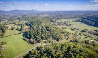Davis Valley Road lot 8 & 11, Afton, TN 37616