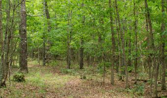 3899 County Road 304, Alton, MO 65606