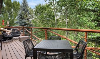 545 EVANS Ct, Basalt, CO 81621
