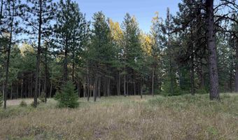 Tbd Harlow Ridge Rd - Cloverland Estates 35, Asotin, WA 99402