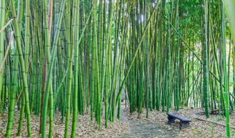 5601 Freedom Blvd, Aptos, CA 95003