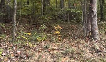 0 COUNTY ROAD 3964, Arley, AL 35541