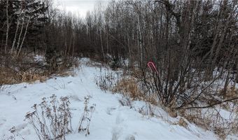 N County Highway W lot 0, Winter, WI 54896