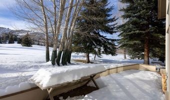 225 N Fairway Dr, Beaver Creek, CO 81620