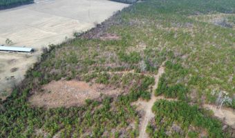 Red Oak Creek Road, Bethune, SC 29009