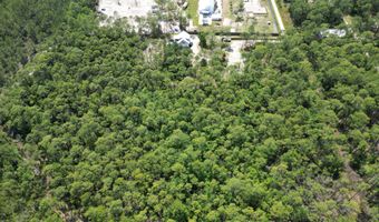 Lot 0311 N Church St, Santa Rosa Beach, FL 32459