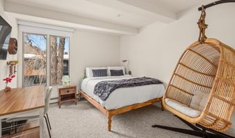 1039 E Cooper Ave 20, Aspen, CO 81611