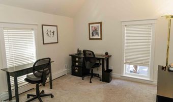 229 W Hallam St, Aspen, CO 81611