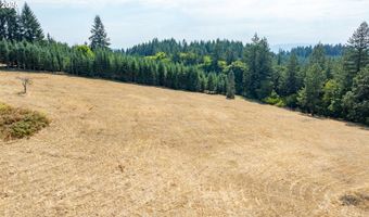 8501 SE THREE TREES Ln, Amity, OR 97101