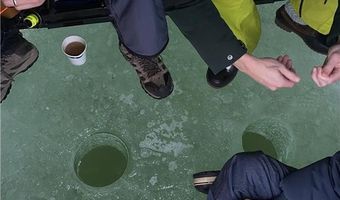 7701 Lake John Dr, Annandale, MN 55302