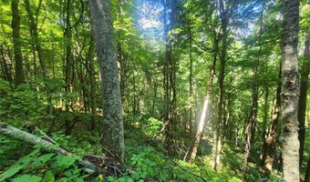 Jacks Knob Road, Barnardsville, NC 28709