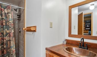 477 COUNTY ROAD 674 477, Breckenridge, CO 80424
