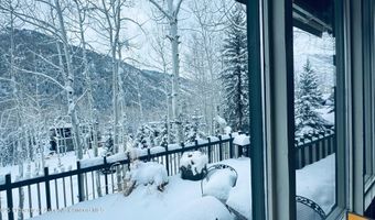 302 Roaring Fork Dr, Aspen, CO 81611