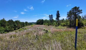 County Road 38, Autaugaville, AL 36003