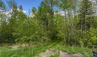 Xxxxx 299th Place, Aitkin, MN 56431